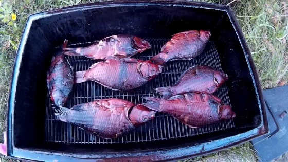 Копчение карася