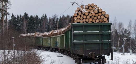 Поставки лесоматериала