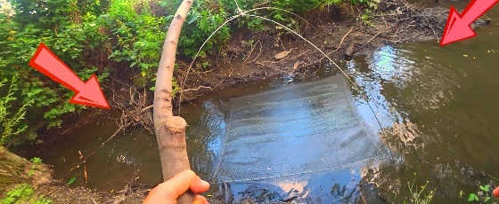 ВОДА УШЛА, А РЫБА ОСТАЛАСЬ В ЛУЖЕ