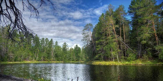 Русская рыбалка в глухой тайге