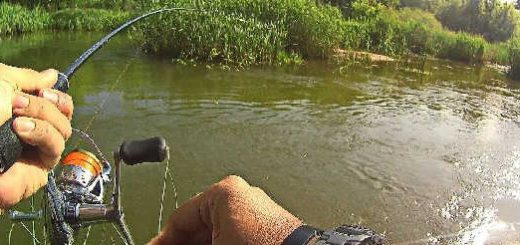 Рыбалка на небольшой речушке со спиннингом