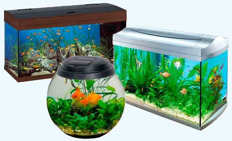 Какой аквариум выбрать