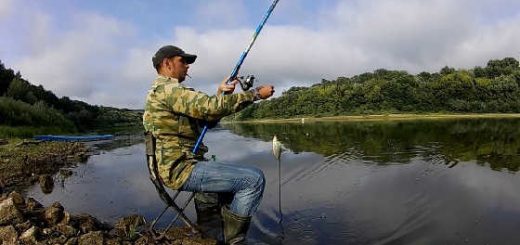 Летняя Рыбалка на Плотву 2019