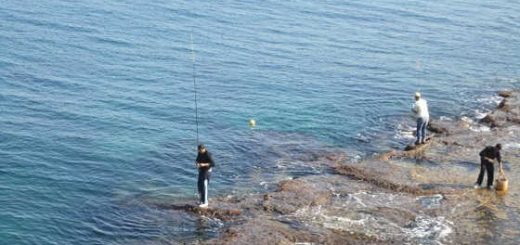 Морская рыбалка в Крыму - ловля ставриды