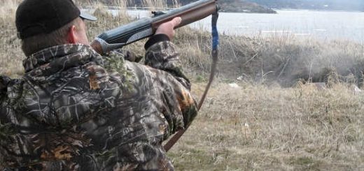 Что делать начинающему охотнику