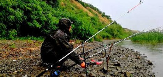 Рыбалка в дождь летом