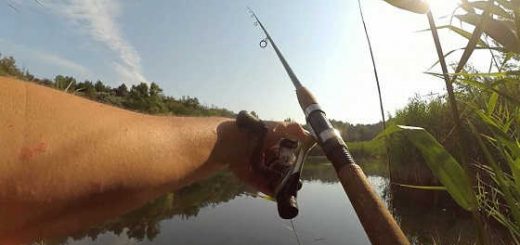 Рыбалка на воблеры в жару