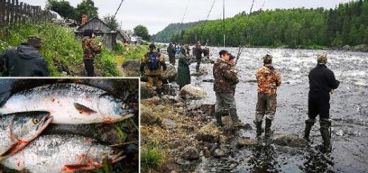 УДАЧНАЯ РЫБАЛКА НА ГОРБУШУ