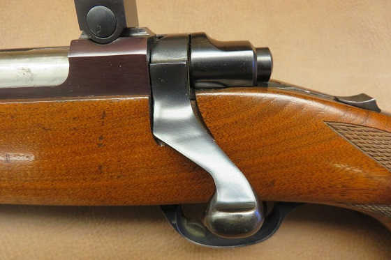 Ruger Model 77