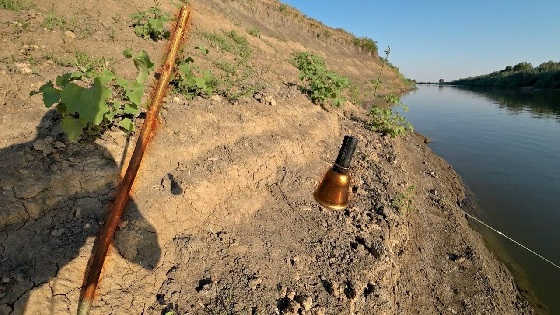 Дедовская снасть ловит дикого карпа и судака