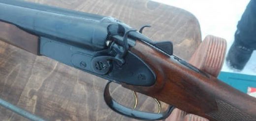 двухстволка или полуавтомат