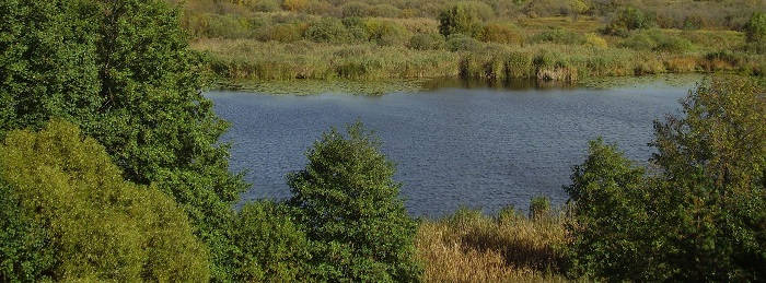 К реке за уловом