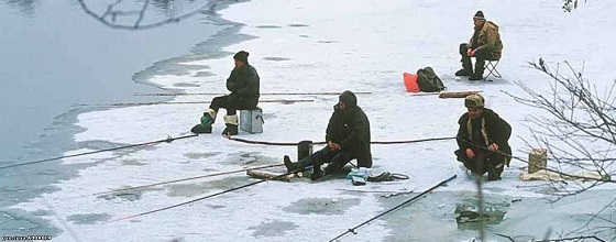 Питание на зимней рыбалке