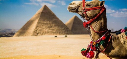 Египет: курорты, экскурсии
