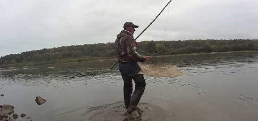 Осенняя Рыбалка на Живца 2019