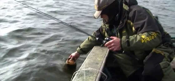 ОКУНЬ С ЛОДКИ В ОТВЕС НА БАЛАНСИР И МОРМЫШКУ