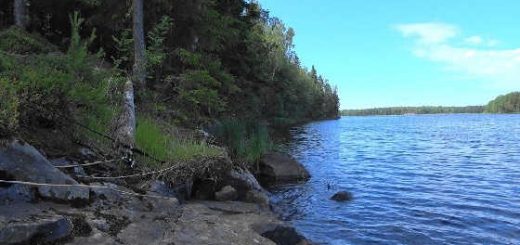 Рыбалка на новом водоеме