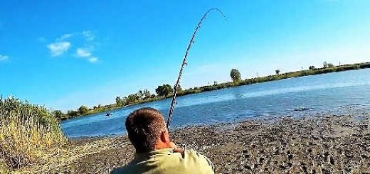 Закрытие летнего рыболовного сезона 2019