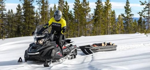 снегоход brp ski doo skandic