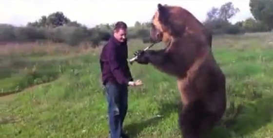 Медведь - лучший друг русского человека