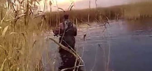 Охота в Сибири: Чирковый рай