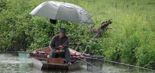 Рыбалка в дождь и ветер