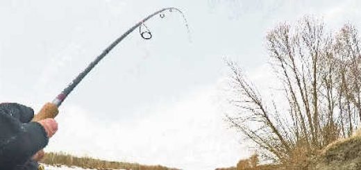 Удачная рыбалка на спиннинг осенью 2019