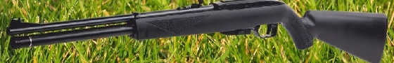Обзор Review Crosman Benjamin Wildfire PCP