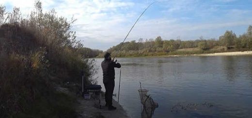 Рыбалка в Астрахани на фидер в октябре