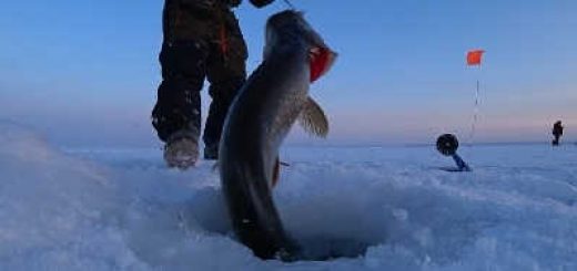 Рыбалка на жерлицы в Якутии