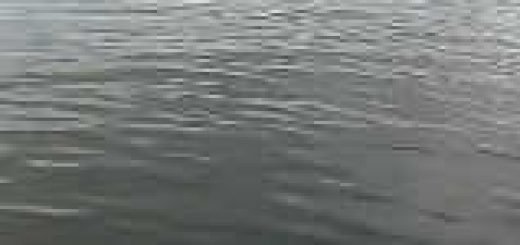 Семейная рыбалка на Вазузском водохранилище