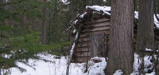 ОХОТНИЧИЙ ПРОМЫСЕЛ В ТАЙГЕ