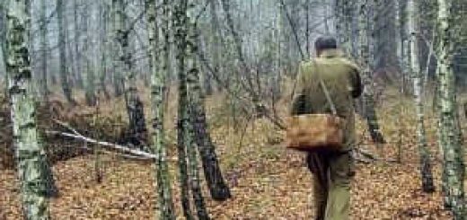 Ориентирование в тайге