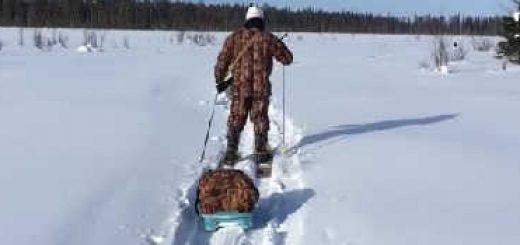 Отпуск в тайге: Охота и Рыбалка