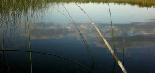 Рыбалка с бамбуковой удочкой