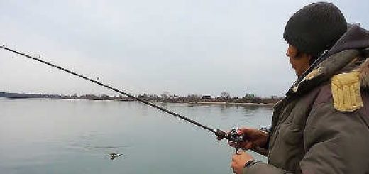 Рыбалка на спиннинг в ноябре