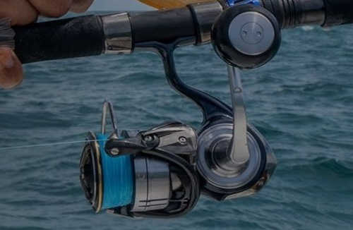 Катушка Daiwa CERTATE LT 5000D