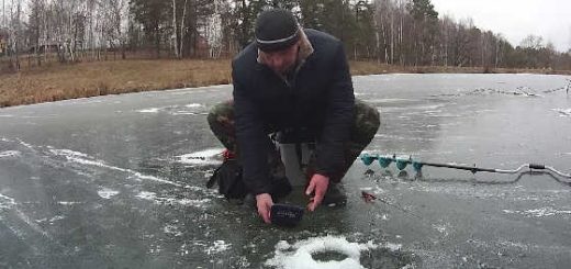 Атака Окуня на Балду