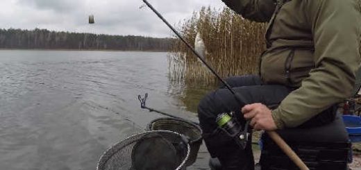 Ловля фидером по Холодной воде