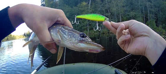 Убойная проводка O.S.P. RUDRA, Jackall Squad Minnow