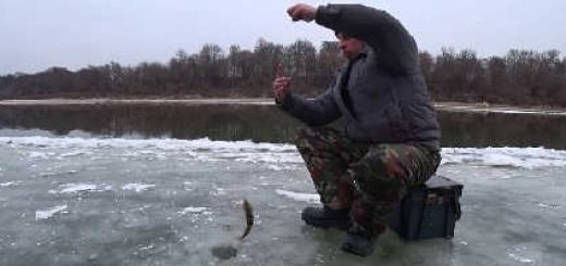 Рыбалка в Перволедье на Оке 2019