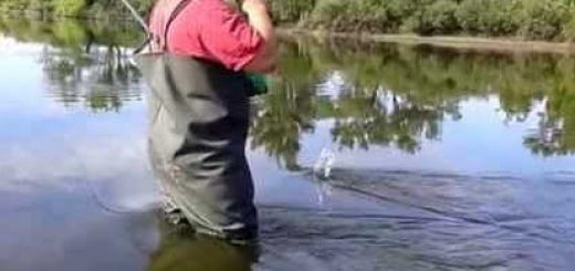 Рыбалка в родных местах