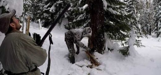 Промысел соболя в Якутии зимой