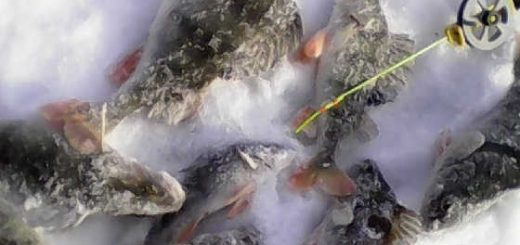 Зимняя Рыбалка на Балду 2019