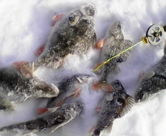 Зимняя Рыбалка на Балду 2019