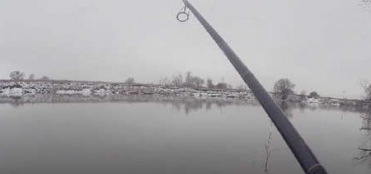 Зимний спиннинг на Москва-реке в ЧУЛКОВО