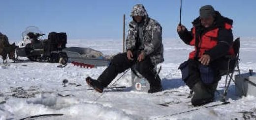 Зимняя рыбалка корюшки в лимане Амура