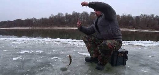 Зимняя Рыбалка на Оке 2019