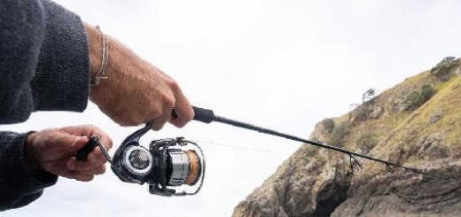 Daiwa CERTATE 2019 - LT 5000D