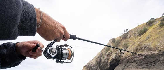 Daiwa CERTATE 2019 - LT 5000D